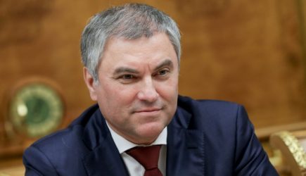 Володин: фонд Доктора Лизы получит из бюджета 21 миллион рублей