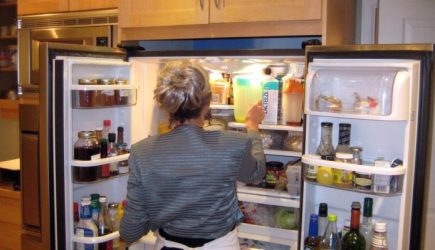 В России разработали магнитный холодильник