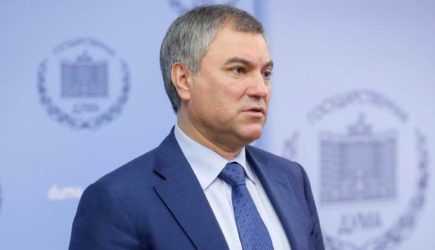 Володин потребовал публичных извинений от руководства Грузии