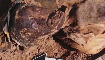 Женщину откопали из железного гроба: кем она оказалась?