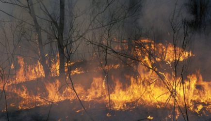 Самолет-амфибия разбился во время тушения лесного пожара