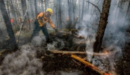 МЧС объяснило огромную площадь пожаров в Сибири и на Дальнем Востоке