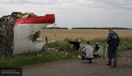 Немецкий детектив готов передать РФ и Малайзии результаты расследования крушения MH17