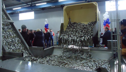 Россия «за копейки» приобретает оборудование латвийского завода рыбопереработки