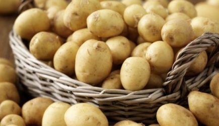 Какой опасный яд содержится в картофеле