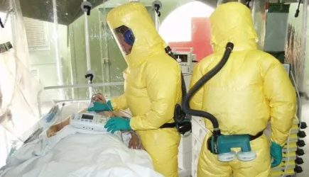 Вирусолог оценил вероятность распространения Эболы по России