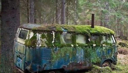 Семья нашла в лесу старый автобус: войдя внутрь, они испугались