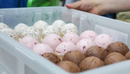Квартальный экспорт мороженого из Москвы вырос на 47%
