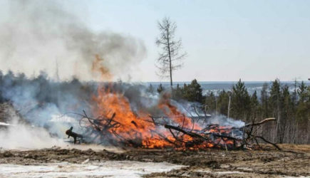 &#171;Они все сгорели&#187;: Уничтожена пятая часть военной техники ВСУ &#8212; CMИ