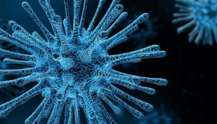 Вирусолог рассказал, какой уровень антител нужен для защиты от коронавируса
