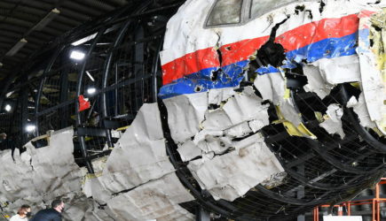 Умер свидетель по делу о крушении MH17