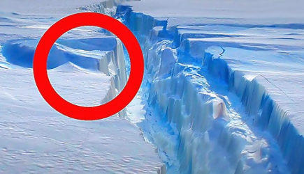 Учёные нашли нечто жуткое в Антарктиде