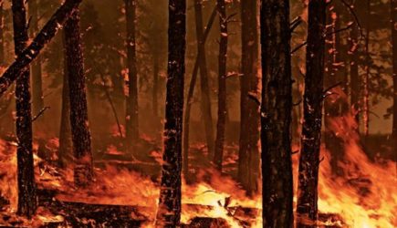 Секретные данные Пентагона могут помочь в борьбе с лесными пожарами