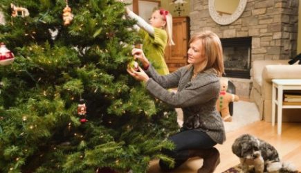 Когда ставить и как сохранить новогоднюю живую елку