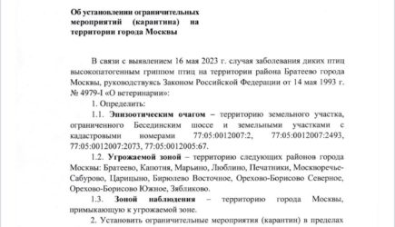 Карантин в Москве объявили № 283-РМ от 17.05.2023