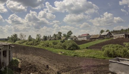 Садовод Брэдбери объяснила, почему не следует выдергивать сорняки в жару