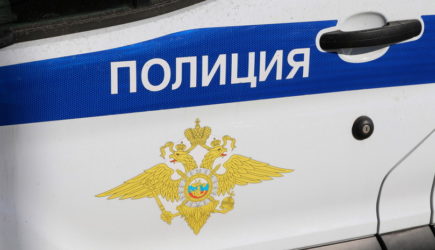 URA.RU: в Челябинской области нашли убитой пропавшую ранее 11-летнюю школьницу
