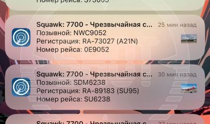 Сразу несколько самолётов подали сигнал тревоги в небе над центральной Россией