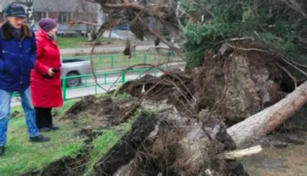 В Кузбассе ввели режим повышенной готовности из-за урагана