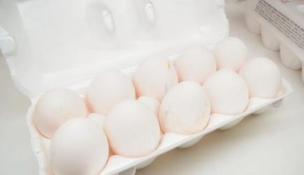 Пенопластовые лотки из-под яиц не выкидывайте: не представляете, сколько от них пользы