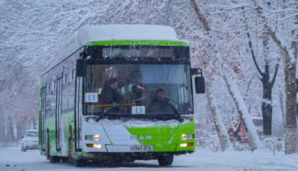 В Узбекистане женщинам разрешили водить автобусы и грузовики