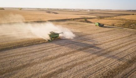 Из России вкуснее: Польша в два раза нарастила импорт российского зерна