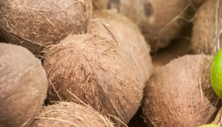 Чем полезны кокосы: эксперты перечислили факты, о которых многие не знают