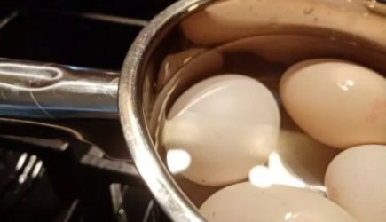 В какую воду лучше класть яйца для варки: в горячую или холодную