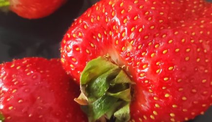 Клубника на севере: как вырастить вкусную и полезную ягоду