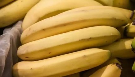 Что можно подкормить настоем из банановой кожуры: эффективный способ удобрения