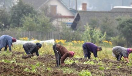 Российских дачников предупредили о новых штрафах