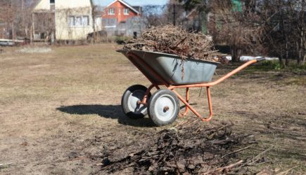 Крысы и мыши сбегут с огорода: эти действия помогут спасти дачу после зимы