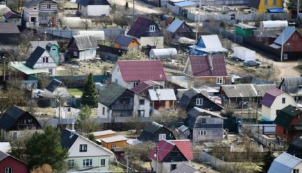 В Роскачестве рассказали, что делать в случае падения дерева на дачный дом