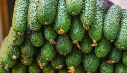 «Очищает сосуды и кровь»: Какие пять продуктов должны быть на столе, объяснил врач