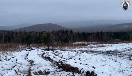 Раскрыта главная версия пропажи Усольцевых в российской тайге