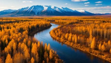 Сотни тысяч наличных. Новый поворот в деле Усольцевых спустя 2 месяца: Находка в машине пропавшей семьи ввела в ступор всех