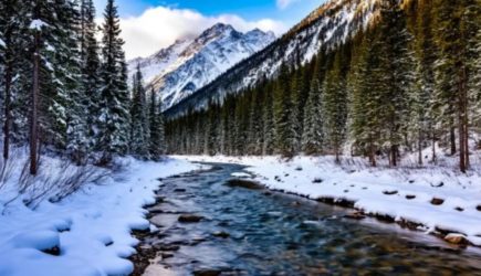 Усольцевы живы: Сын «уверен на 100%». И вот почему