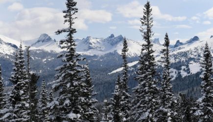 Искавший Усольцевых волонтер выступил с заявлением после появления новой детали в деле