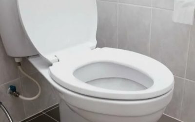 Почему опасно оставлять унитаз открытым — запомните на всю жизнь