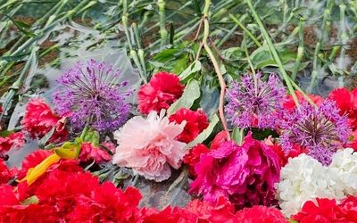 Почему люди несут цветы к дому