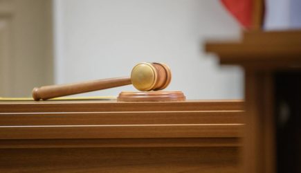 С Долиной предложили поступить по аналогии с Ефремовым