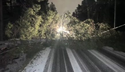 Шторм выключает Эстонию и Финляндию: самолеты выдувает со взлетной полосы