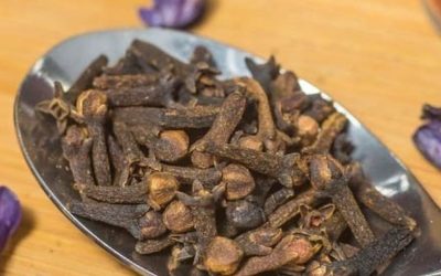 1 гвоздику под язык утром и вот что со мной стало