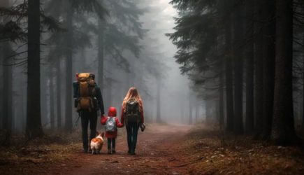 Друг заявил о кровавой драме супругов Усольцевых в лесу: «Он убил свою семью»