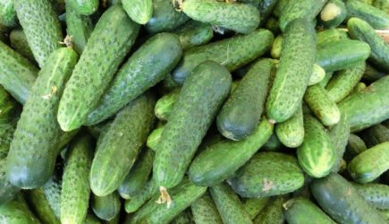 «Огурцы по цене куртки»: российская певица пришла в бешенство от похода в магазин