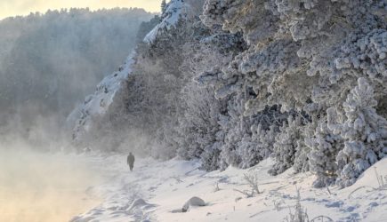 Стали известны детали поисков бесследно пропавших в российской тайге Усольцевых