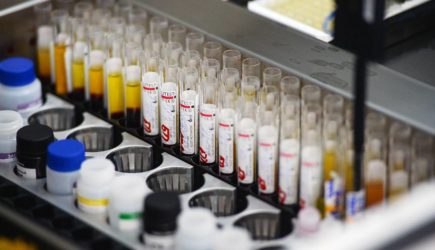 Стало известно о многолетнем росте числа больных сифилисом среди одной категории россиян