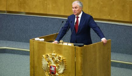 Володин назвал причины нападений подростков в школах