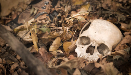 Страшную находку сделали при расширении дороги в Дагестане