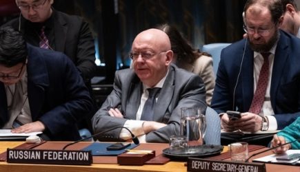 Замглавы МИД Украины поспорила с Небензей о его национальности — подробности события